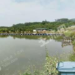 惠州近广增城45亩钓场经营权出租