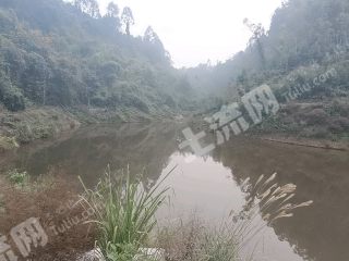 重庆璧山区7亩水库水面经营权出租