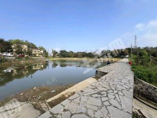 重庆沙坪坝区40亩草莓虾塘经营权出租