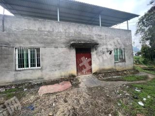 重慶沙坪壩區(qū)150平方米農(nóng)村宅基地使用權出租