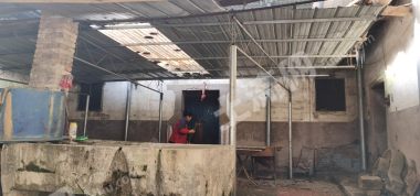 重慶沙坪壩區(qū)130平方米農(nóng)村宅基地使用權出租