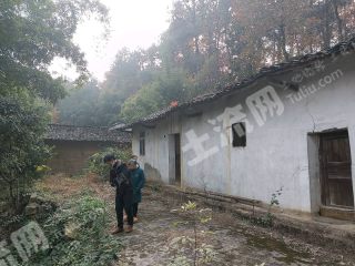 重慶沙坪壩區(qū)140平方米農(nóng)村宅基地使用權出租
