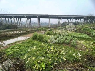 重庆璧山区170平方米农村宅基地使用权出租