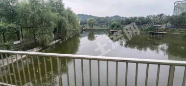 重庆沙坪坝区10亩坑塘水面经营权出租