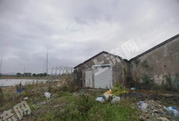 宁波江北区亩农场使用权出租