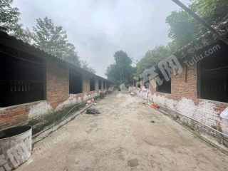 重庆璧山区1.65亩养殖场经营权出租