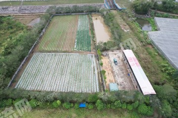 惠州惠城区17亩农场使用权转让