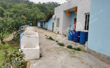 天府新区龙泉山山腰500平米独立农房使用权整体对外出租