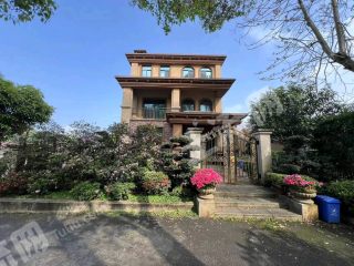 重庆沙坪坝区1000平方米农村宅基地使用权转让