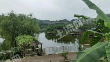 重庆沙坪坝区10亩坑塘水面经营权出租