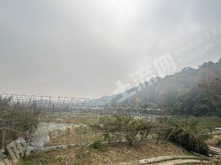 宁波海曙区20亩旱地经营权出租