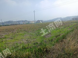 衡阳衡山县500亩旱地经营权出租