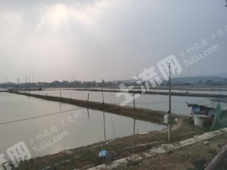 湖州长兴县220亩鱼塘转让，设施设备齐全的接手直接经营