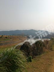 金华  义乌市 1500亩 水田 经营权出租