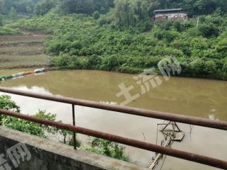 重庆巴南区8亩鱼塘加两套民房出租