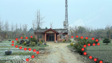 溫江壽安鎮(zhèn)大路邊苗圃里的院子整體使用權(quán)出租