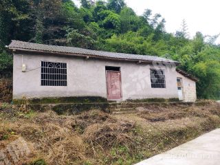 重慶巴南區(qū)81平湖邊獨棟民房使用權出租