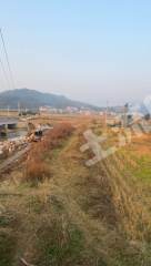 衡阳衡东县1000亩水田经营权出租