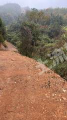 衡阳耒阳市2000亩灌木林地经营权出租