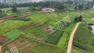 重庆潼南200亩水浇地经营权出租