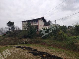 重慶渝北區(qū)200平方米農(nóng)村宅基地使用權(quán)出租