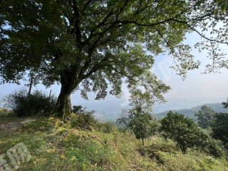 重庆巴南区400平方米农村宅基地使用权合作