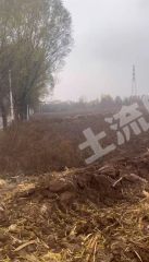 晋城泽州县500亩水浇地经营权出租