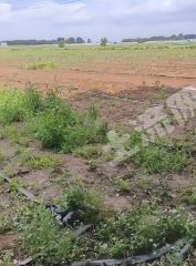 长治长子县 400亩 水浇地 经营权出租