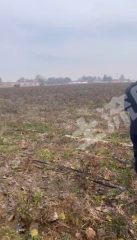 长治长子县400亩水浇地经营权出租