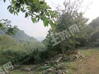 重慶沙坪壩區(qū)330平方米農(nóng)村宅基地使用權出租