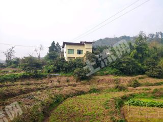 重庆渝北区150平方米农村宅基地使用权出租