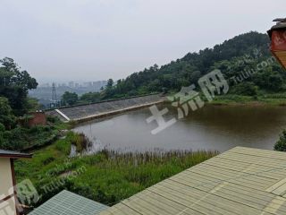 重庆渝北区300多平临湖精致别致小别墅出租5万一年