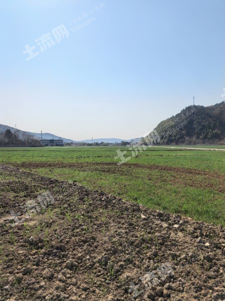 湖州长兴县300亩土地出租，一整片，可以进挂车，临河道，三通，种粮食有补贴，可以种中草药，经济作物等