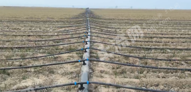 运城万荣县3000亩水浇地经营权出租