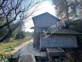 重庆巴南区200平方米农村宅基地使用权出租