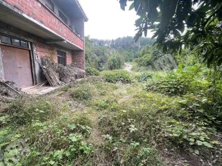 重庆北碚区220平方米农村宅基地使用权出租