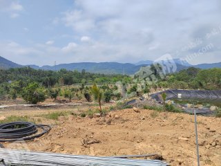 海南万宁市94亩其它林地经营权转让