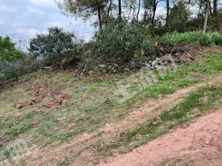 龍泉山景區(qū)附近 105平米宅基地 使用權(quán)出租