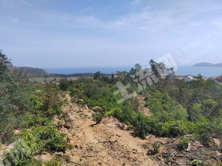 海南万宁市30亩农村宅基地使用权转让