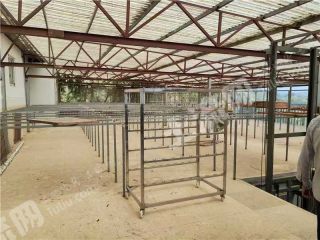 重庆云阳1亩粉条厂经营权转让