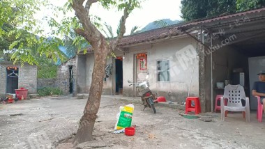 海南万宁市180亩其它林地经营权转让