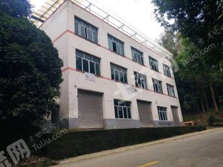 重庆渝北玉峰山600平米三层民房出租5万元/年