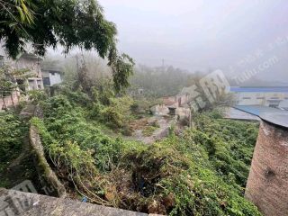 重庆沙坪坝区200平方米农村宅基地使用权出租