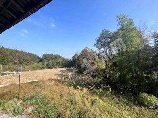 重庆巴南区200平方米农村宅基地使用权出租