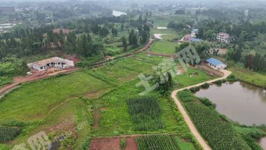 重庆潼南区200亩水浇地经营权出租