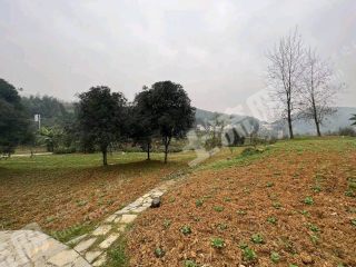 重庆沙坪坝区300平方米农村宅基地使用权出租