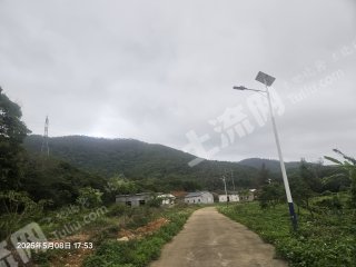 惠東縣周邊近高鐵10畝荔枝果園經(jīng)營(yíng)權(quán)出租