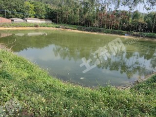 惠州6畝魚塘帶2畝地出租