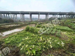 重慶璧山區(qū)170平方米農(nóng)村宅基地使用權(quán)出租