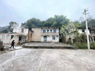 重庆北碚区230平方米农村宅基地使用权出租